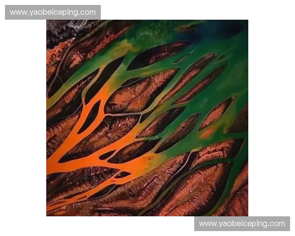 俯瞰大地视角下的城市风光与自然景观空中拍摄探索